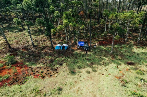 Comparatif : voyager seul ou en groupe ?