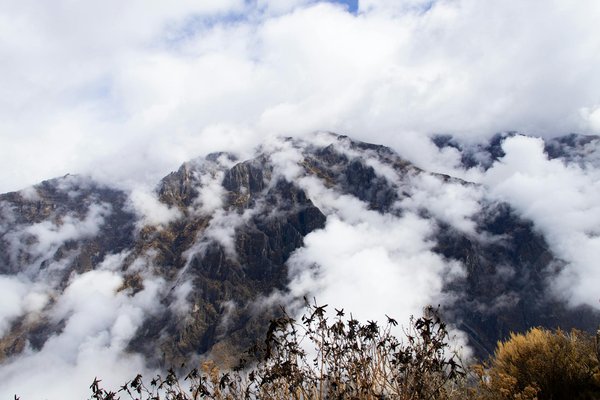 Les marchés de noël à strasbourg : une féerie à ne pas manquer